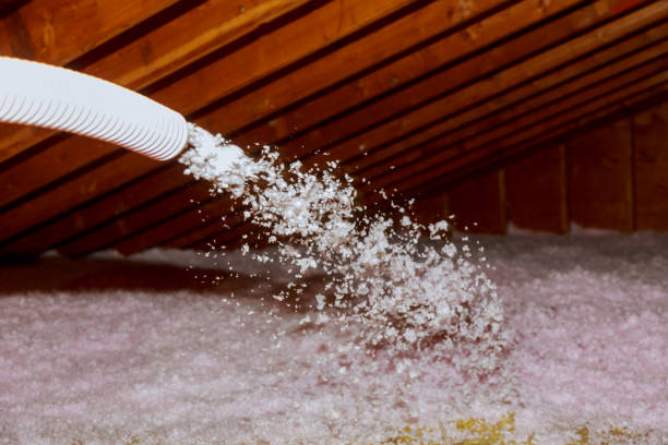 Best Spray Foam Insulation  in Aetna Estates, CO
