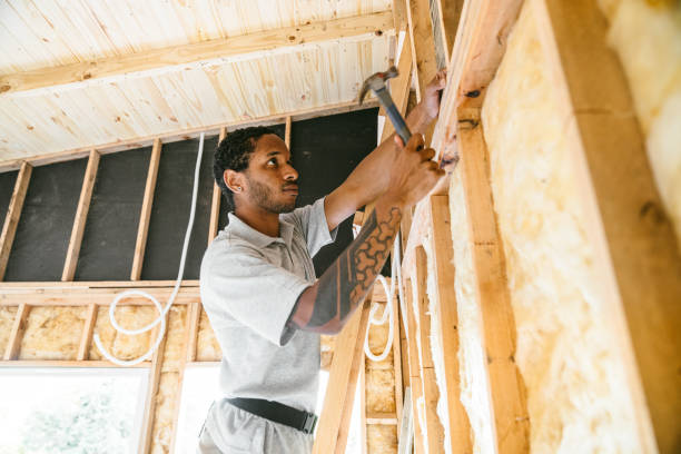 Best Professional Insulation Contractor  in Aetna Estates, CO