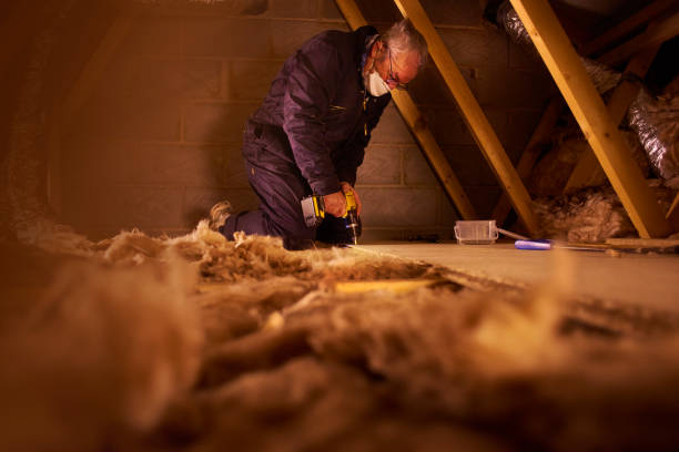Best Insulation Removal  in Aetna Estates, CO